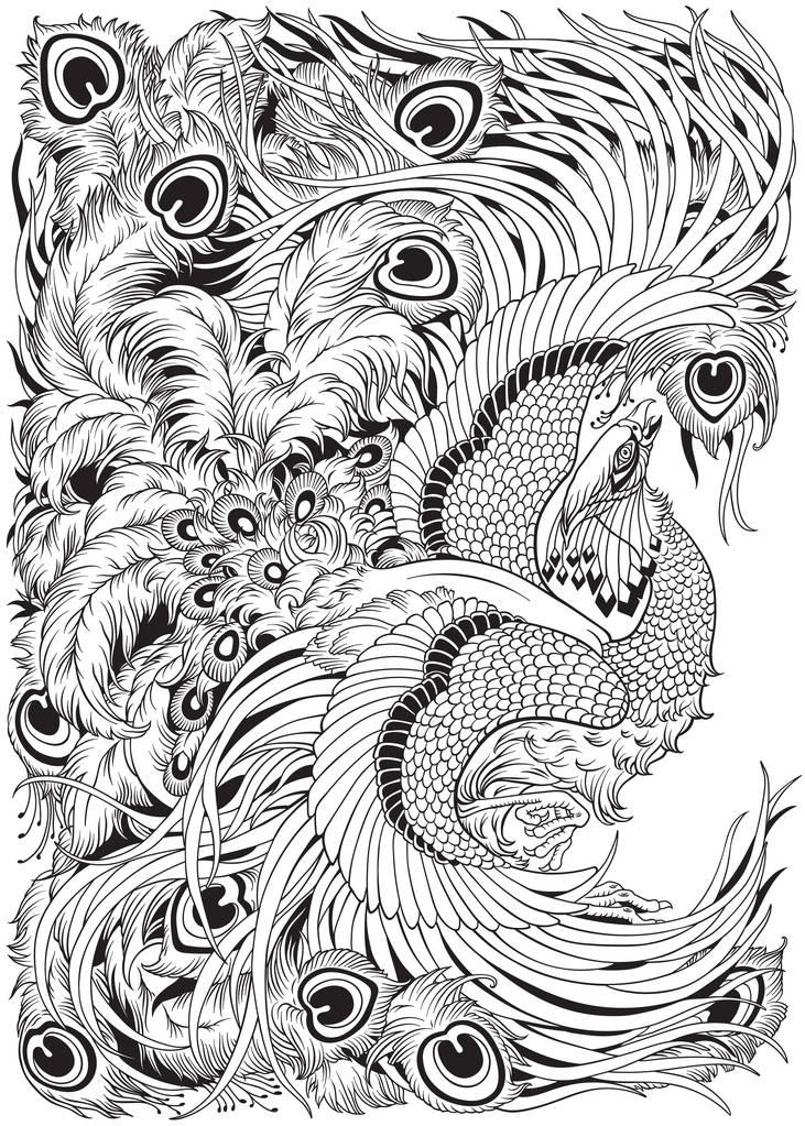 冯黄神话鸟黑色和白色图片