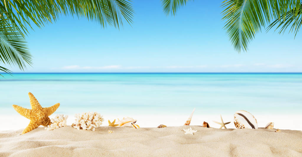海星砂，夏天假期背景热带海滩