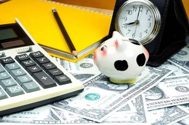 小猪银行和金融计算器上桩我们美元