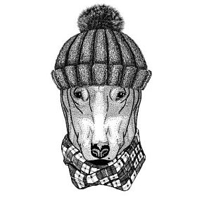 T 恤设计戴冬天针织的帽子的狗