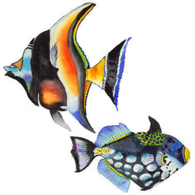 水彩水生水下五彩斑斕的熱帶魚套。紅海和外來魚類里面