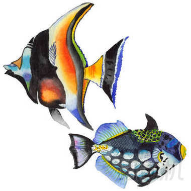 水彩水生水下五彩斑斕的熱帶魚套。紅海和外來魚類里面
