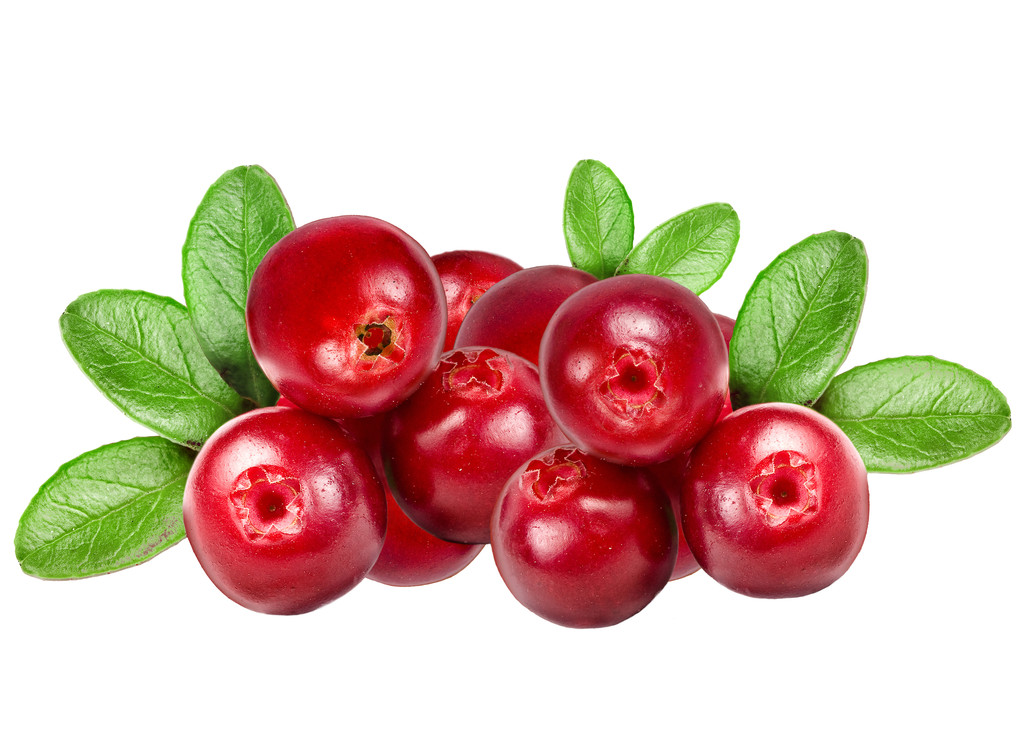 覆盆子图片 覆盆子图片