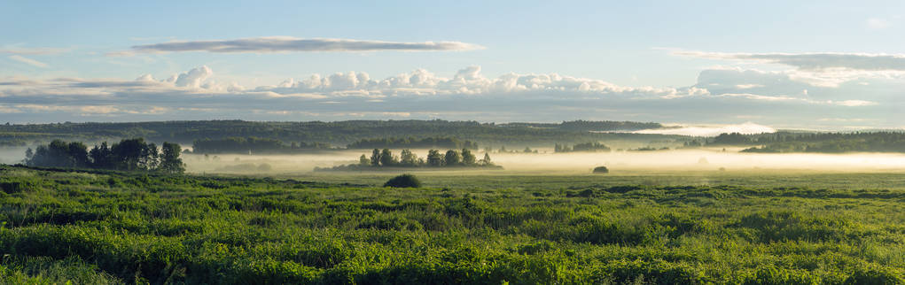 夏天农村风景 图片