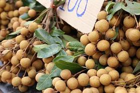 龙眼果实街图片