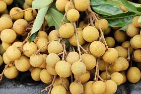 鲜龙眼是美味，泰国水果