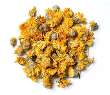 白色背景上的金盞花的藥用花