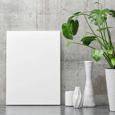 混凝土墙上的白色海报植物装饰的极简主义