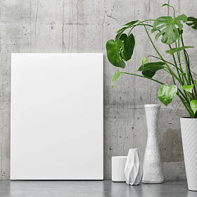 混凝土墙上的白色海报植物装饰的极简主义