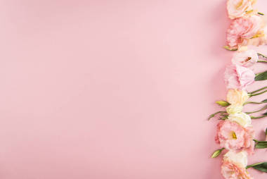 美麗的盛開花朵照片