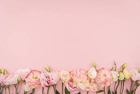 美丽的盛开花朵图片