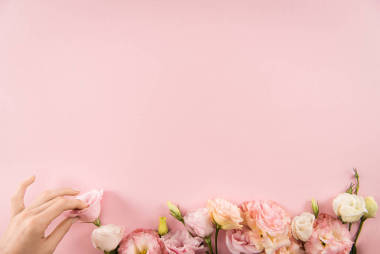 美麗的盛開花朵