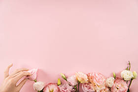 美丽的盛开花朵