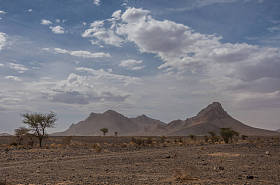 摩洛哥草原景观树木与装载在背景。阿特拉斯山脉和撒哈拉沙漠之间的区域