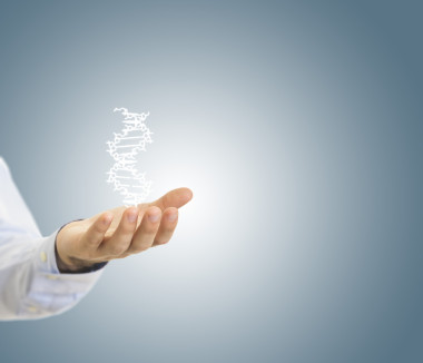 只手握住一個(gè) dna 片段