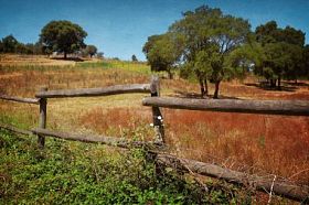 农村景观与木栅栏图片