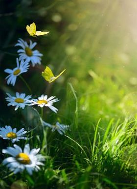 艺术抽象春天背景或夏天背景与新鲜的 f