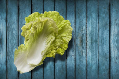 关于大白菜射击的概念图片