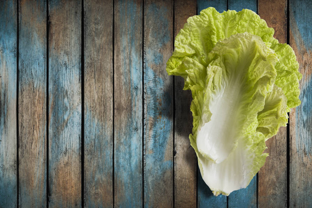 关于大白菜射击的概念 关于大白菜射击的概念