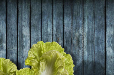 关于大白菜射击的概念图片