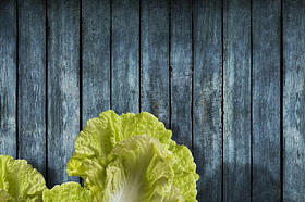 关于大白菜射击的概念图片