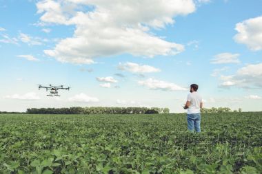 技術(shù)員農(nóng)民使用 wifi 上網(wǎng)計(jì)算機(jī)控制農(nóng)業(yè)無(wú)人機(jī)在綠色的田野上