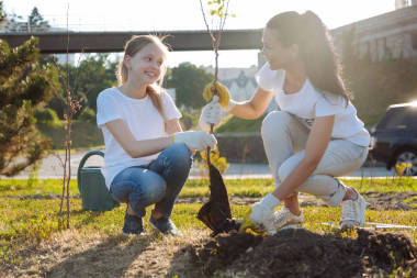 在他們的公園植樹