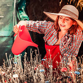 花园里浇花的女人