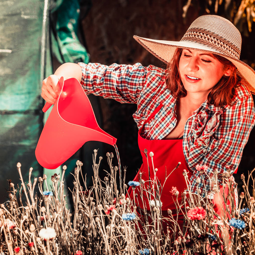 花园里浇花的女人