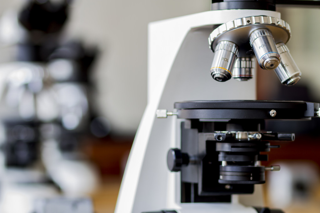 显微镜照片 显微镜照片