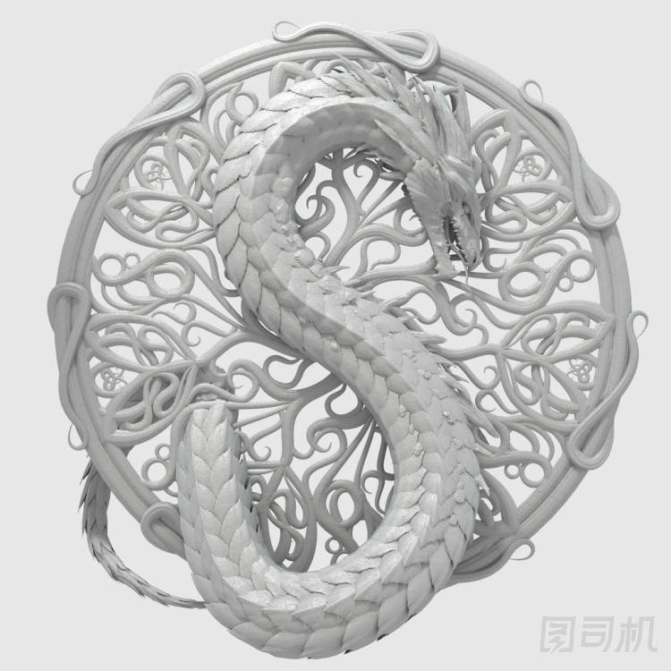 龍蛇在觀賞背景圖片