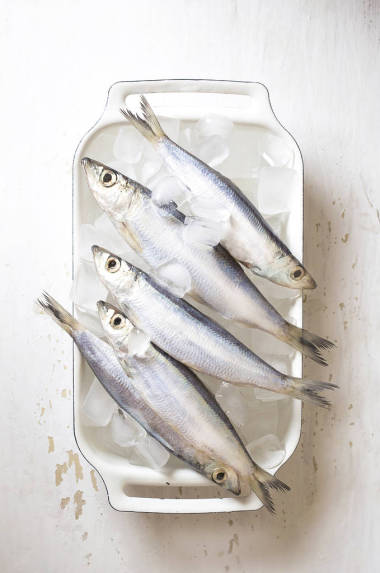 冰鮮新鮮生的沙丁