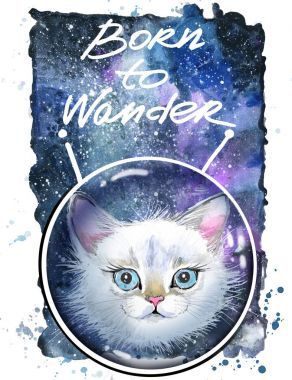 在空间中的可爱猫咪图片