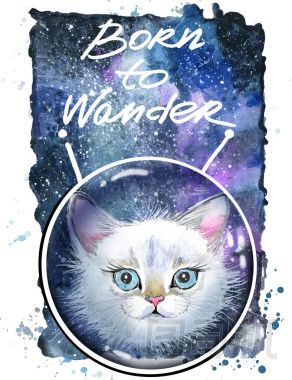 在空間中的可愛(ài)貓咪圖片