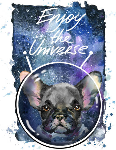 可愛的小狗在空間