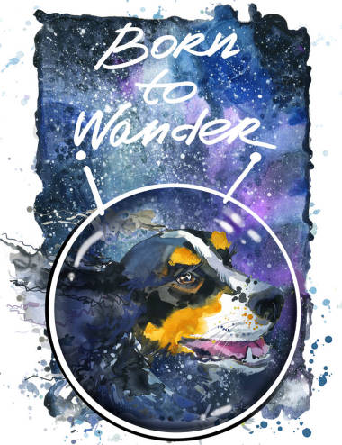 可爱的小狗在空间