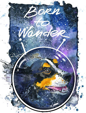 可爱的小狗在空间