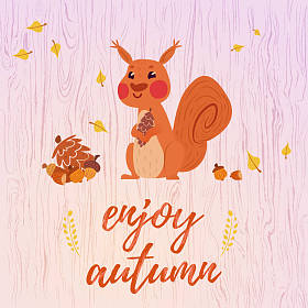 可爱的卡通松鼠卡