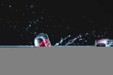 樹(shù)莓凍結(jié)在冰多維數(shù)據(jù)集圖片