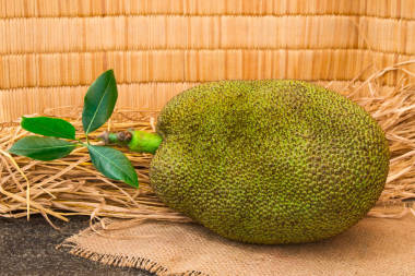 新鮮成熟的菠蘿蜜。準備吃甜菠蘿蜜