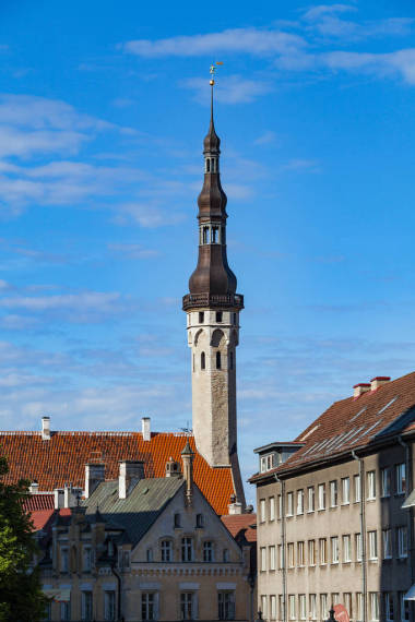 市政廳塔和屋頂的老塔林，愛沙尼