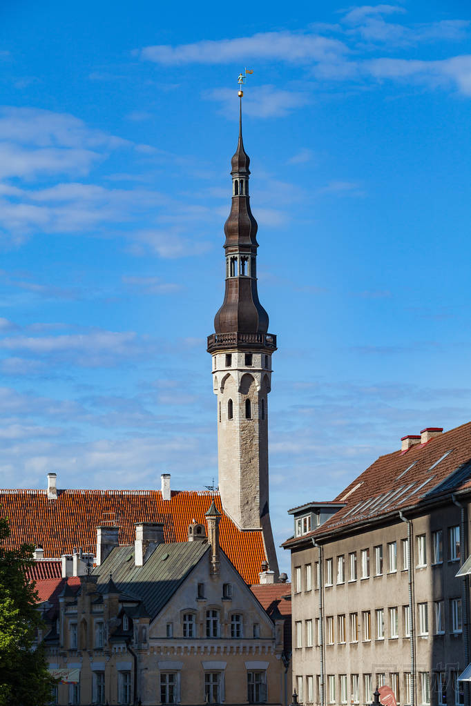 市政廳塔和屋頂?shù)睦纤?，?ài)沙尼