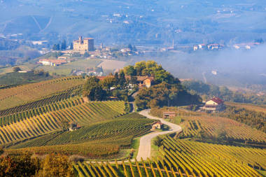 農村道路和在意大利葡萄園