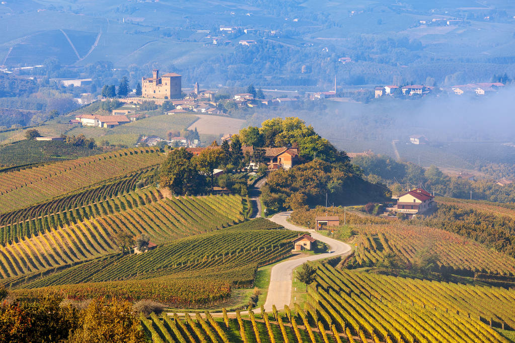 农村道路和在意大利葡萄园