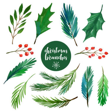 不同的圣誕樹枝一套圖片