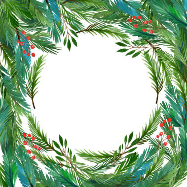 框架作出了冷杉的树枝照片