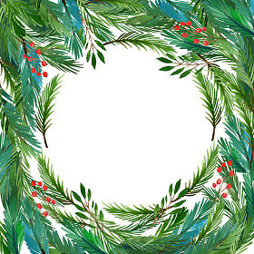 框架作出了冷杉的树枝照片