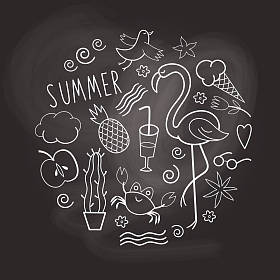 不同的夏天设计元素集图片