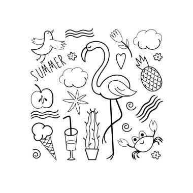 不同的夏天设计元素集