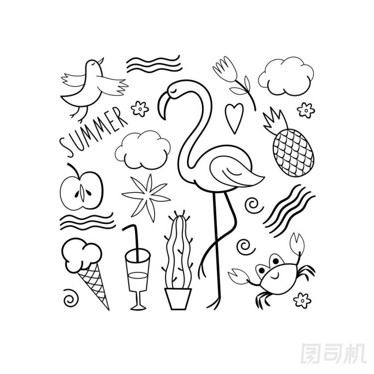 不同的夏天設(shè)計(jì)元素集